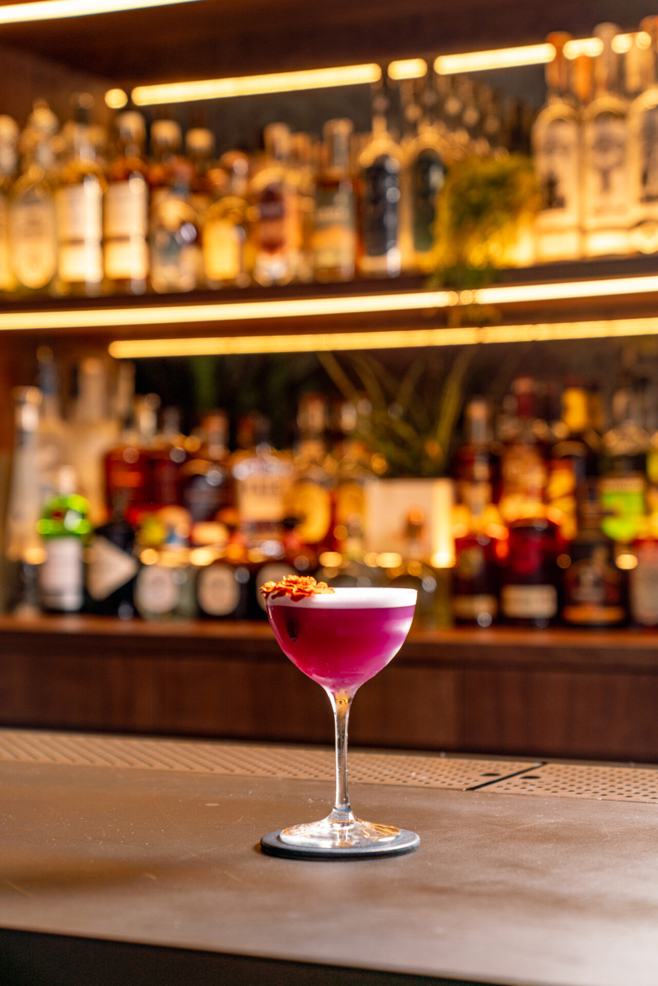 broomestproject-101325-full-42